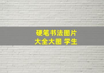 硬笔书法图片大全大图 学生